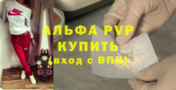 шишки Сясьстрой