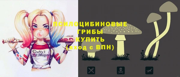 сатива Гусь-Хрустальный