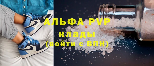 сатива Гусь-Хрустальный